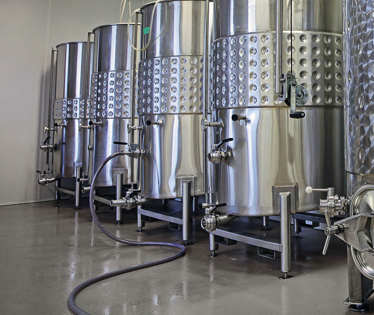 Wine Making Stainless Steel Containers (XXL Size) 